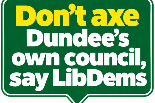 axing local councils 